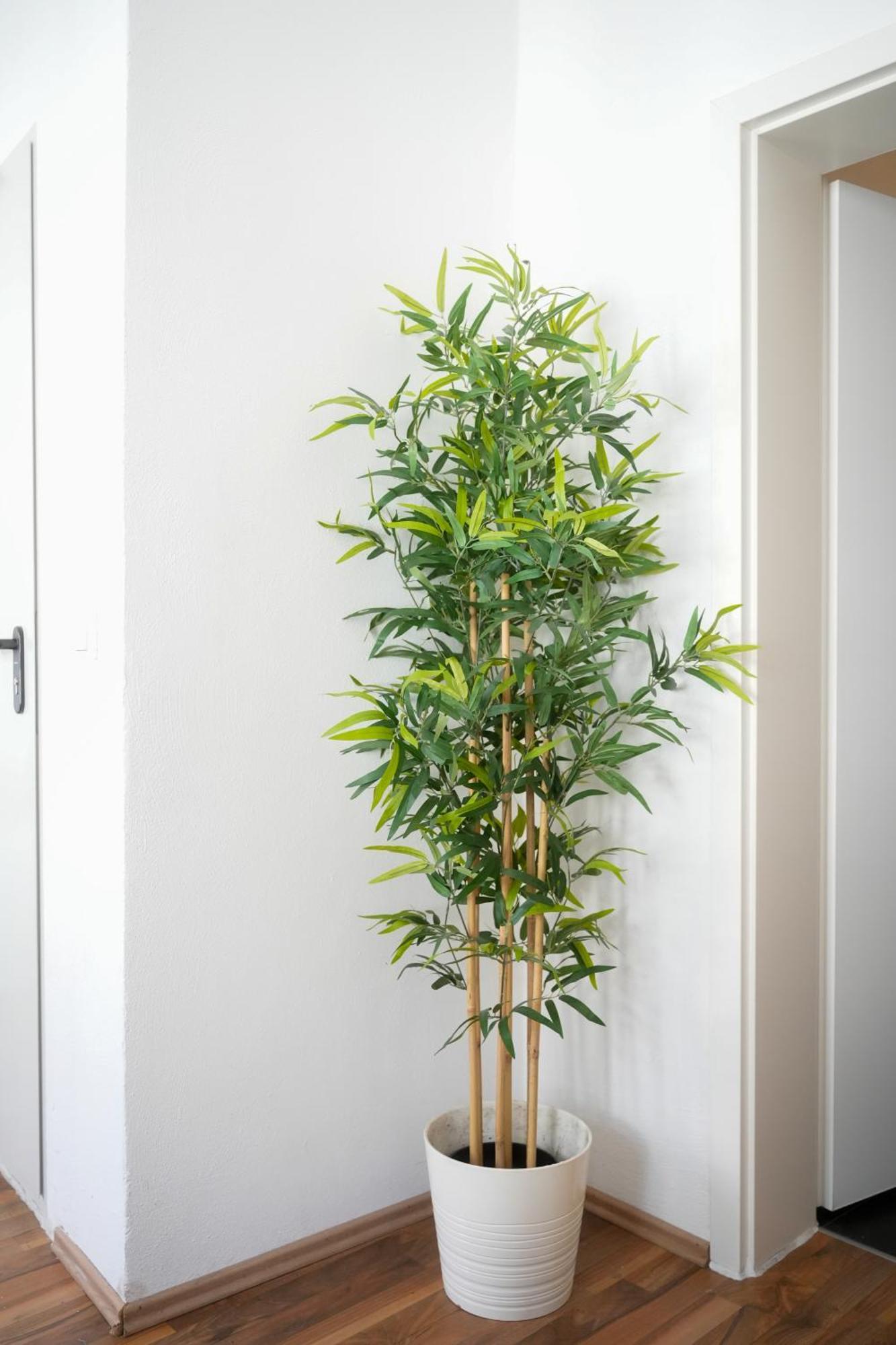Ferienwohnung Altstadt Koblenz Koblenz  Ngoại thất bức ảnh